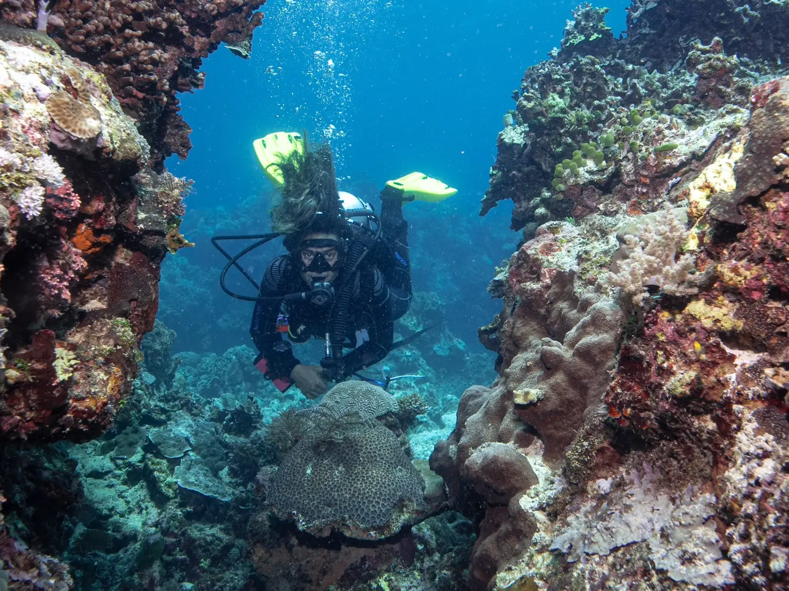 Exploration d’un récif à Siquijor Un plongeur explore un récif corallien à Siquijor, aux Philippines.