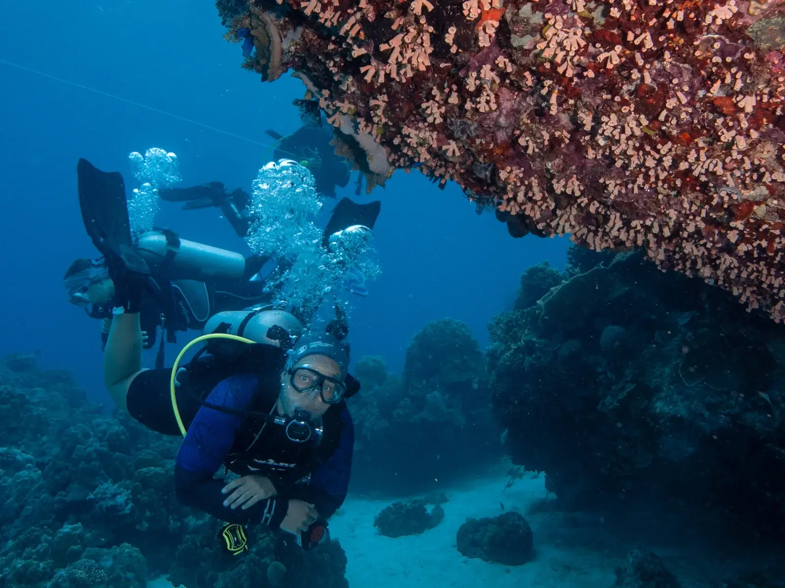 Plongeur sous un surplomb corallien à Siquijor Un plongeur nage sous un surplomb corallien à Siquijor.