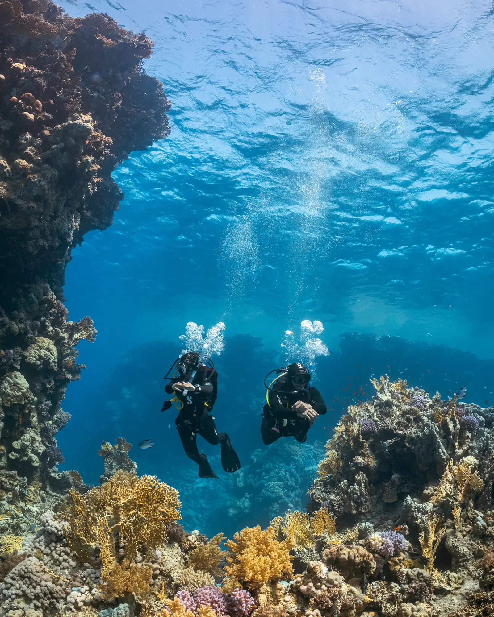 Deux plongeurs certifiés évoluant sur un récif à Siquijor, aux Philippines.