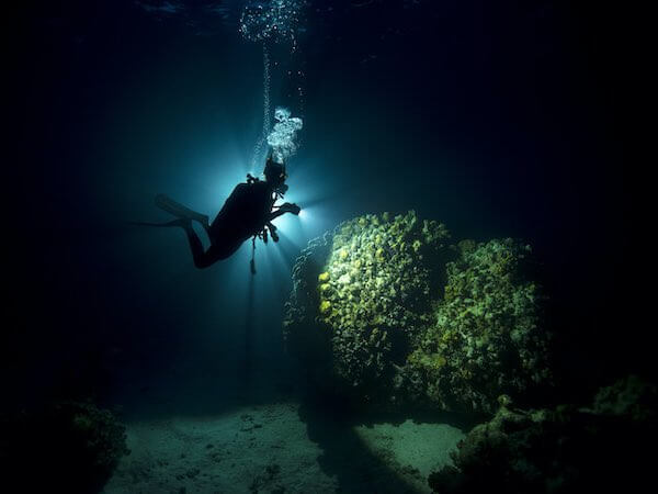 Diver exploring the reef at night.