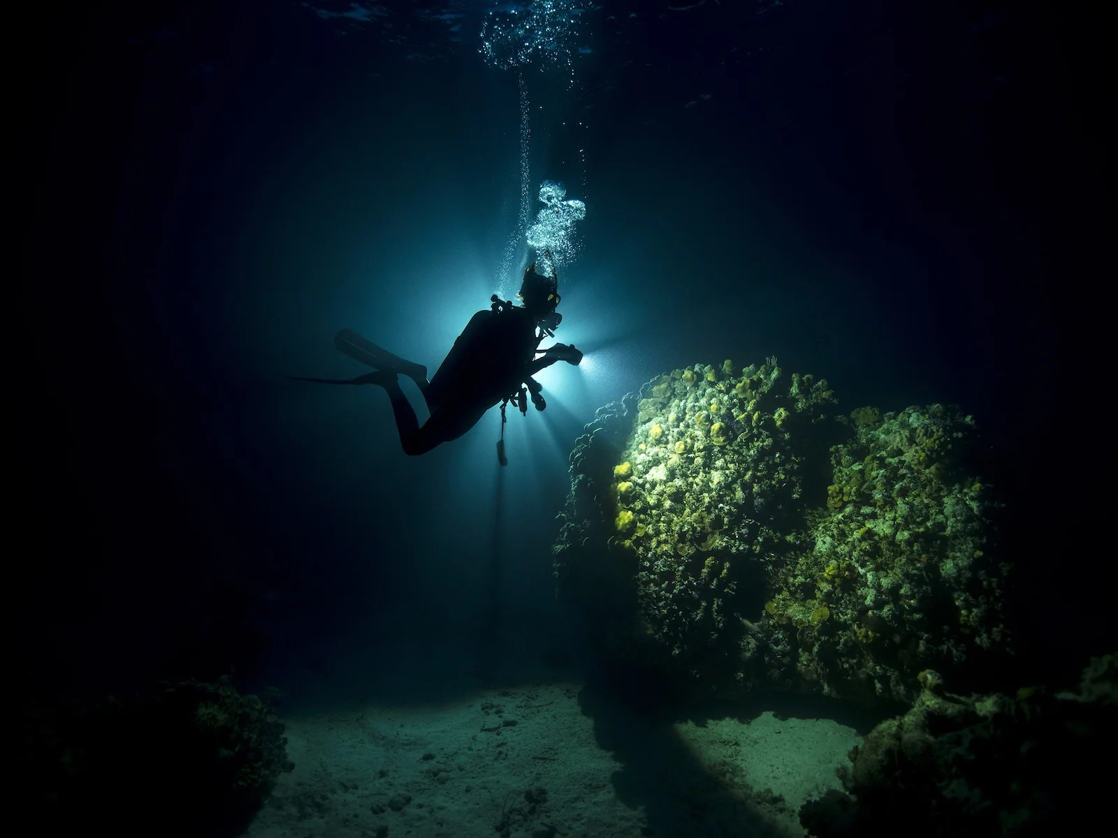 Buceo nocturno en Siquijor, Filipinas.