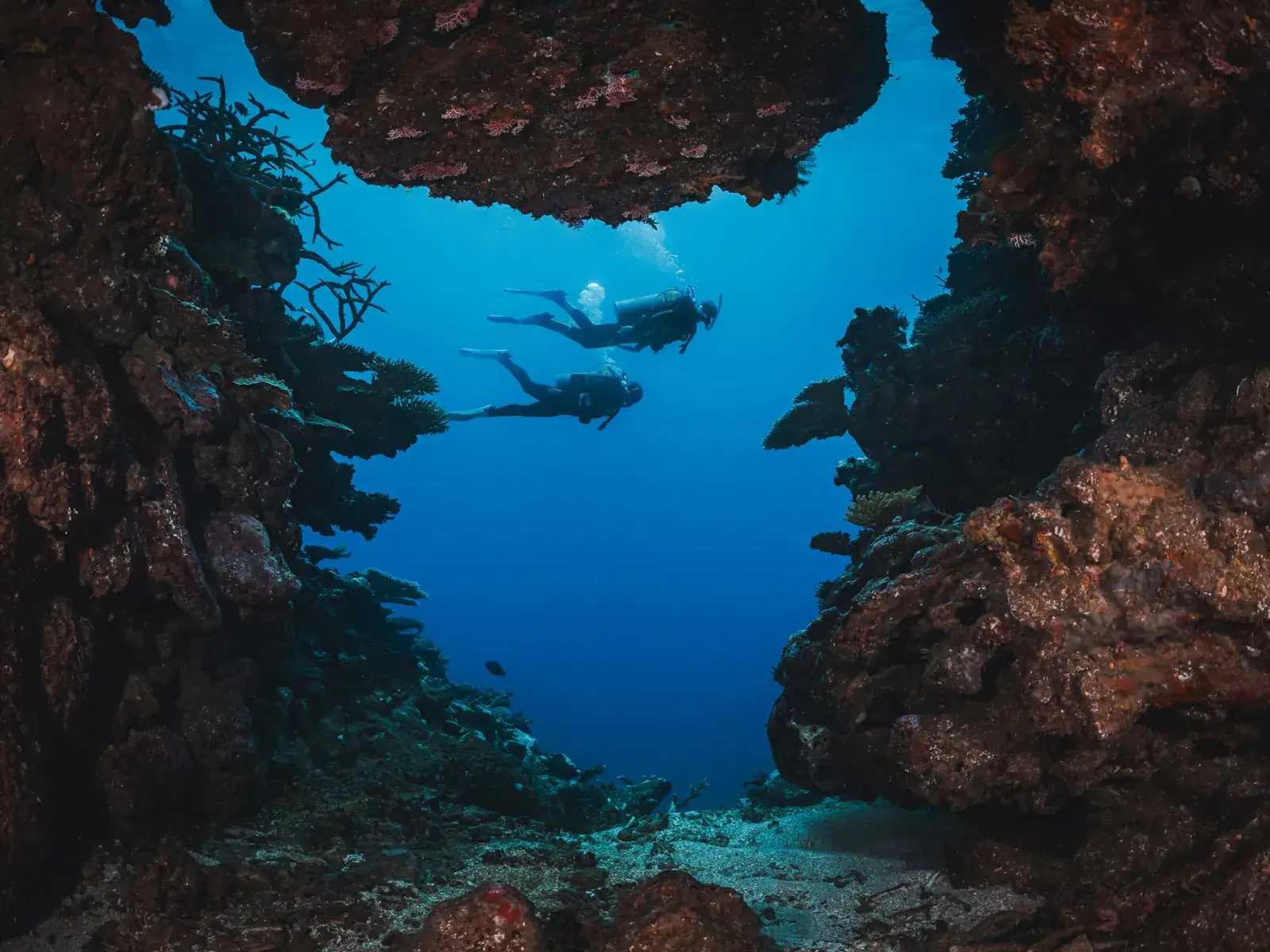 Divers exploring a deep reef during PADI Deep Diver training in Siquijor.