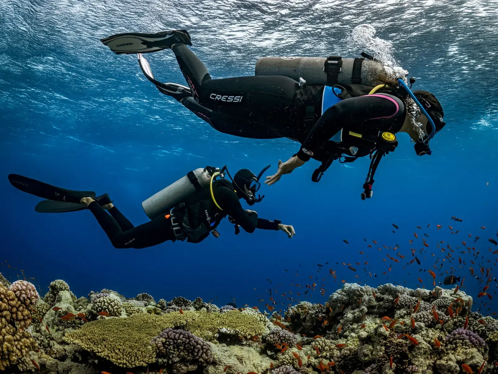 Buceadores demostrando buen control de flotabilidad y posición sobre un arrecife en Siquijor.
