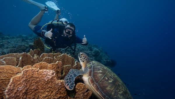 Plongée avec tortue à Siquijor aux Philippines